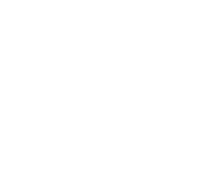 Direct Health Shop Logo White